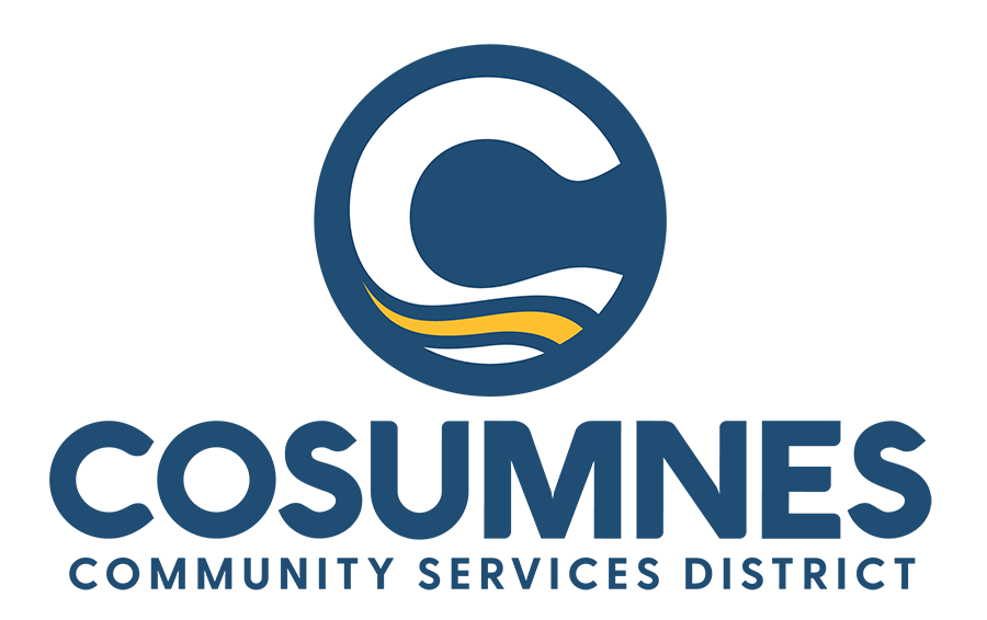 CSD-Logo_Primary_Color-900